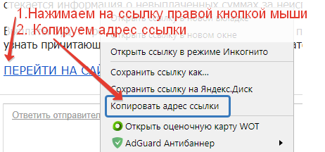 Мошенники в сети