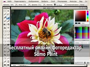 Бесплатный онлайн фоторедактор Sumo Paint