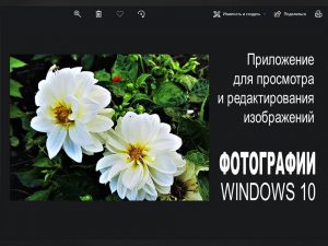 Приложение Фотографии Windows 10
